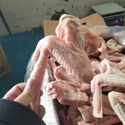 沂南县大鸭三节翅