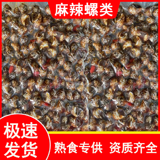 洛阳麻辣田螺捞汁小海鲜麻辣海螺麻辣钉螺麻辣香螺麻辣花螺麻辣白玉螺