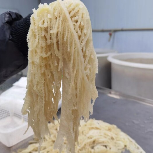 成都大毛肚，千层肚，牛百叶