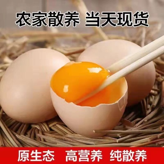 平乐县农家散养土鸡蛋