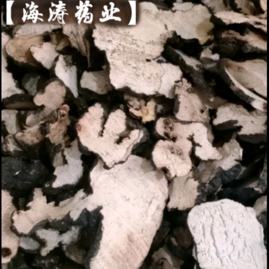 鄄城县【猪苓】产地陕西实物拍摄一手货源大货供应规格齐全量大优惠。