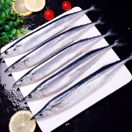 连云港秋刀鱼新鲜冷冻大号鲜活海捕深海鱼秋刀鱼烧烤即食食材整箱