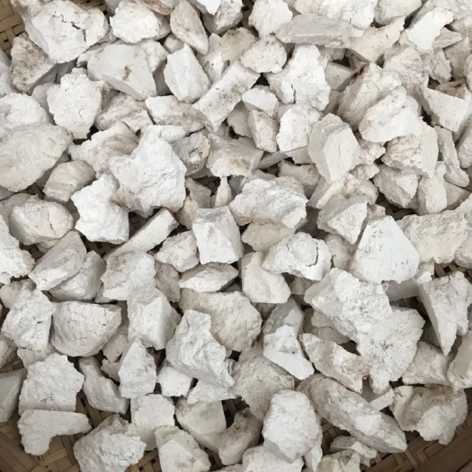 宁洱县深山茯苓