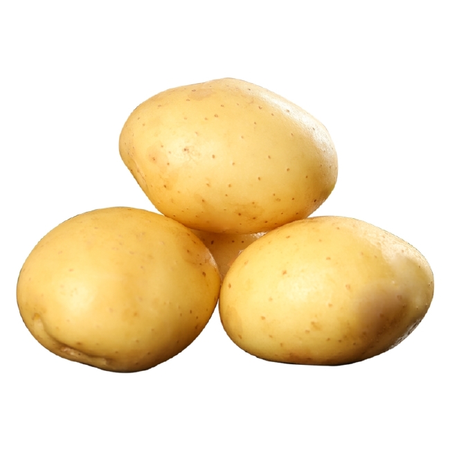 湖北恩施现挖新鲜土豆整箱包邮小土豆农产品黄心马铃薯大蔬菜洋芋