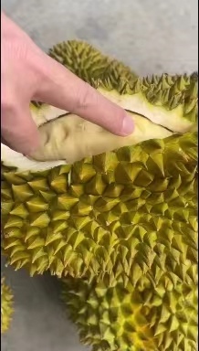 凭祥市金枕榴莲