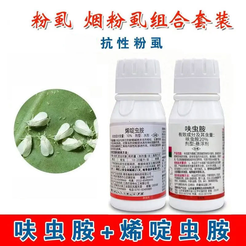呋虫胺烯啶虫胺飞虱专用西红柿辣椒茄子黄瓜粉虱专用杀虫剂