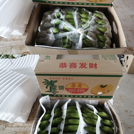 昆明精品香蕉