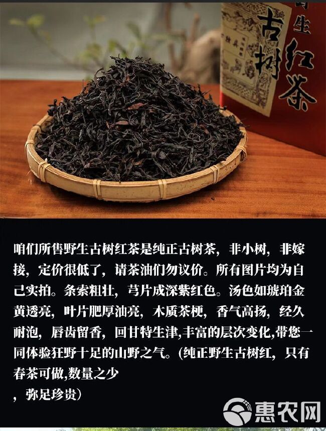 新茶云南梁河县古树野生春茶烤红茶。