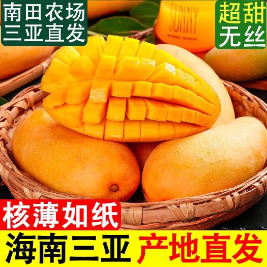 三亚（三亚产地直发）正宗海南金煌芒5/9/斤一件包邮