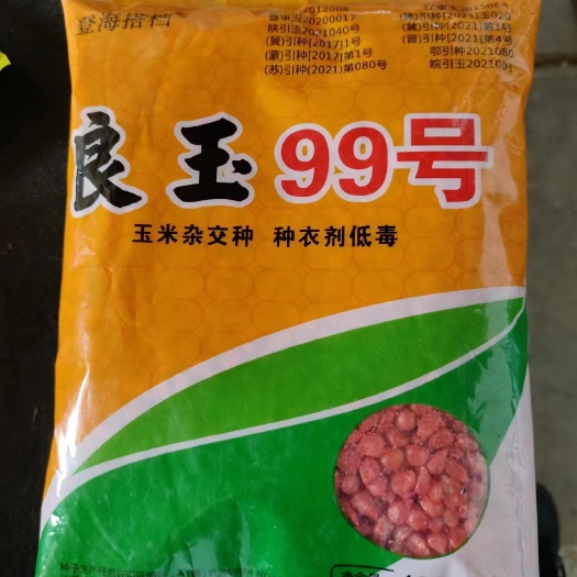 金乡县良玉99玉米种  产量高    高抗病