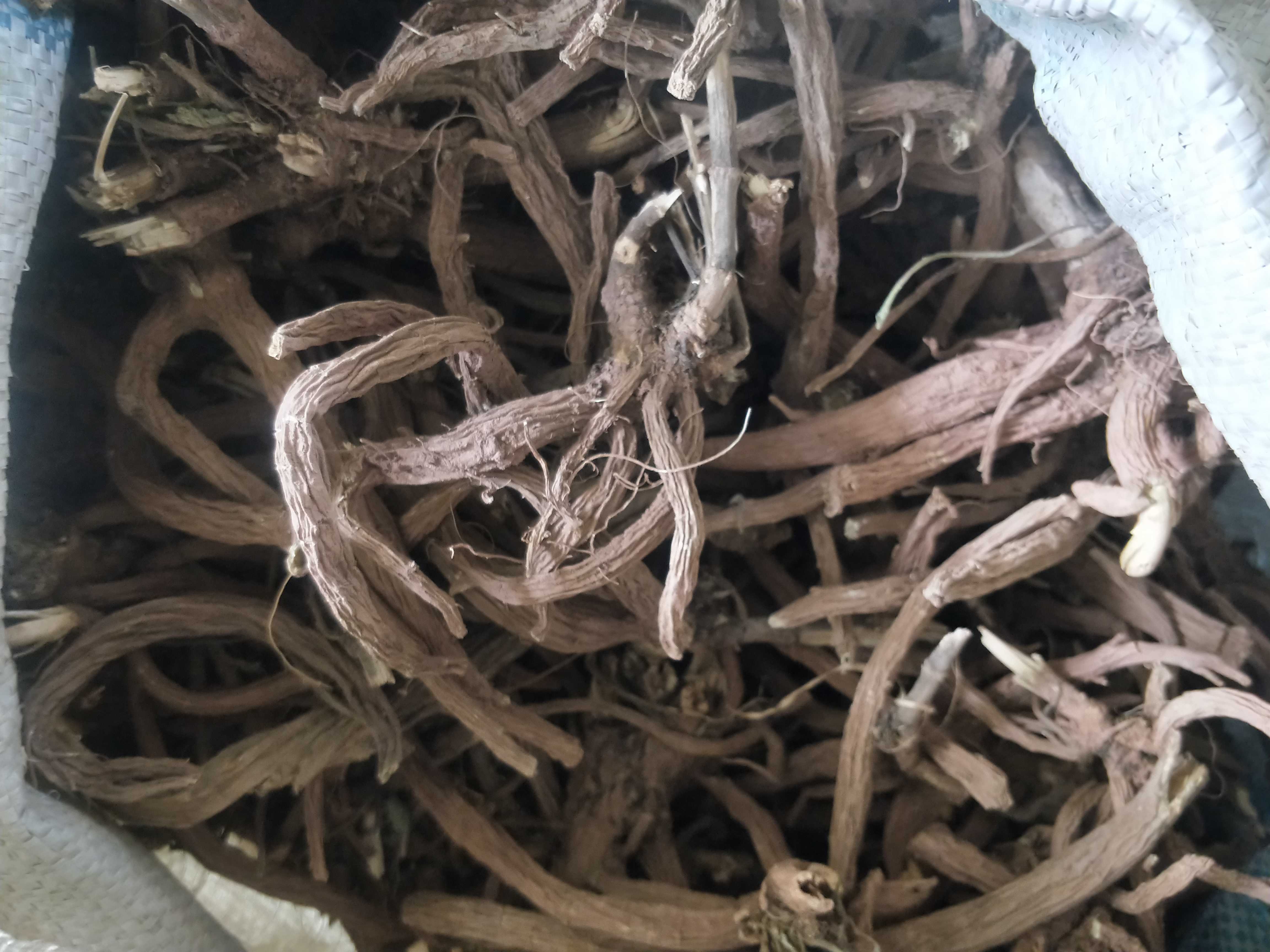 云南统货续断，或选条