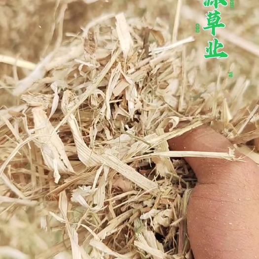 唐河县秸秆饲料，玉米秸秆