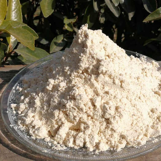洛阳炒小麦粉，熟粉