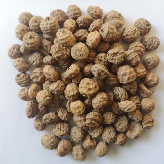 北票市油莎豆