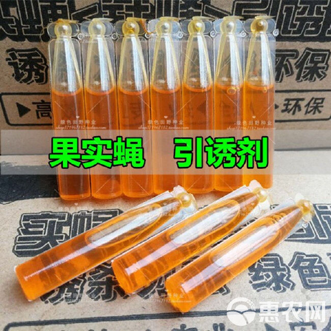 果蝇引诱剂瓜果实蝇诱捕器药水水果园蔬菜桔小实蝇粘剂针锋防虫