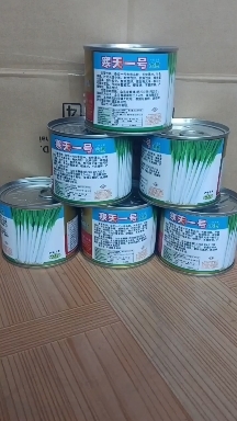 安丘市铁杆大葱，钢葱，耐涝，耐热，抗病，抗低温，产量高，葱白长40