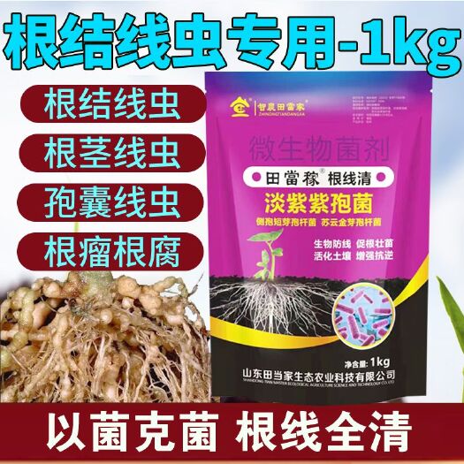 诸城市根结线虫专用药淡紫紫孢菌黄瓜西瓜柑橘蔬菜大硼辣椒线虫冲施肥