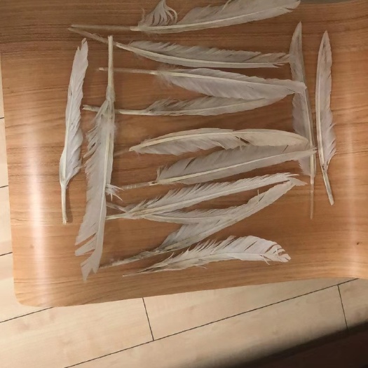 青岛水洗过一次的长杆鸭毛