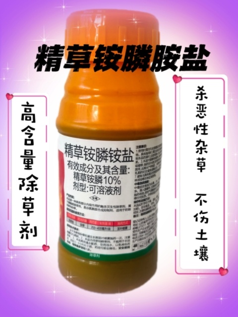 晋州市10%精草铵膦铵盐除草剂农药牛筋草小飞蓬杂草除草剂