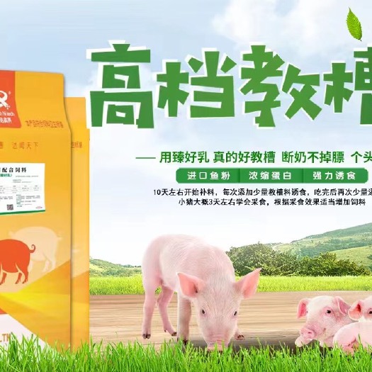 汝州市乳仔猪教槽料 猪饲料粉加粒开口料奶粉料不拉稀工厂直销20kg