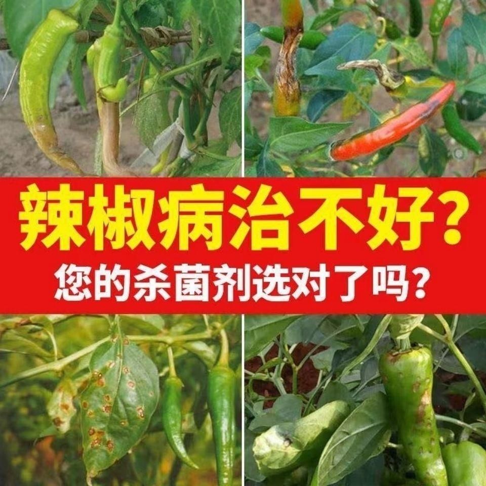 绿迎杀菌套餐辣椒增产防病治病杀辣椒毒套餐灰霉炭疽病毒杀菌剂