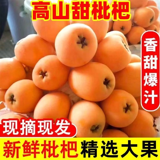 内江四川攀枝花米易枇杷大五星琵琶新鲜水果批把包邮高山野土芘粑芭笆