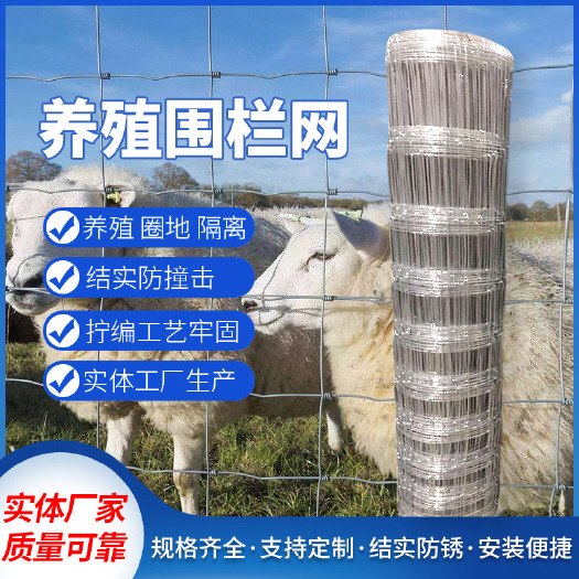 安平县荷兰网 牛栏网  护栏网铁丝网  养殖网  钢丝隔离网养牛羊