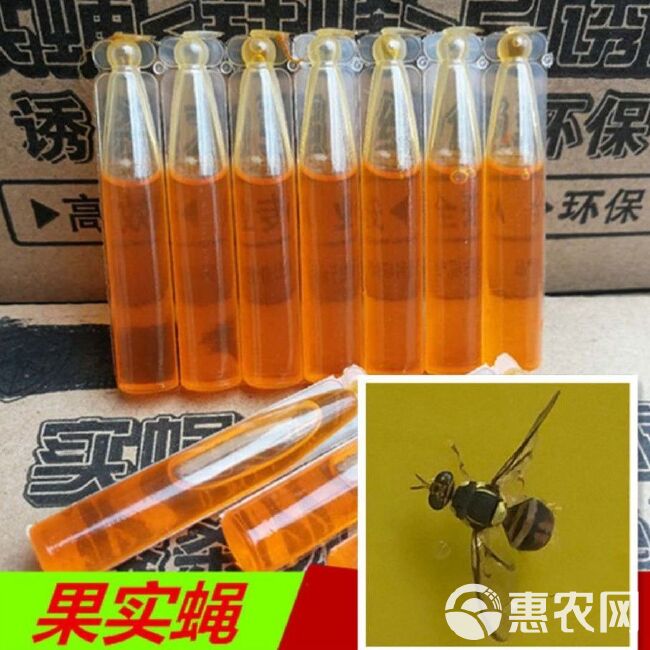 果蝇引诱剂瓜果实蝇诱捕器药水水果园蔬菜桔小实蝇粘剂针锋防虫