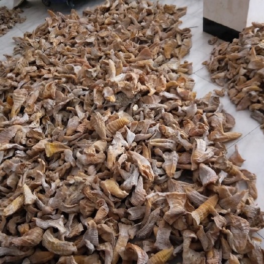 筠连县天然笋干，全干货，欢迎客户前来采购。￼