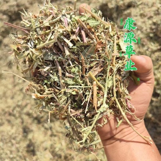 唐河县秸秆饲料，花生秧，一级绿色花生秧，牛马羊兔干草料，优质风选，