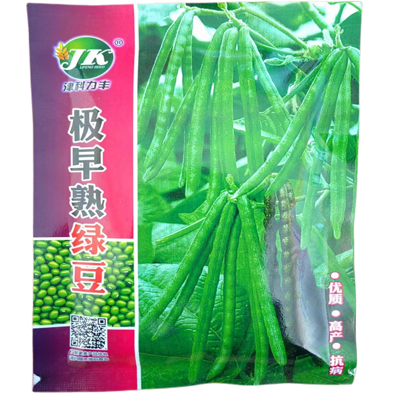 济南早熟绿豆种子不易炸荚小绿豆种子高产小毛绿豆种子春夏季耐重茬