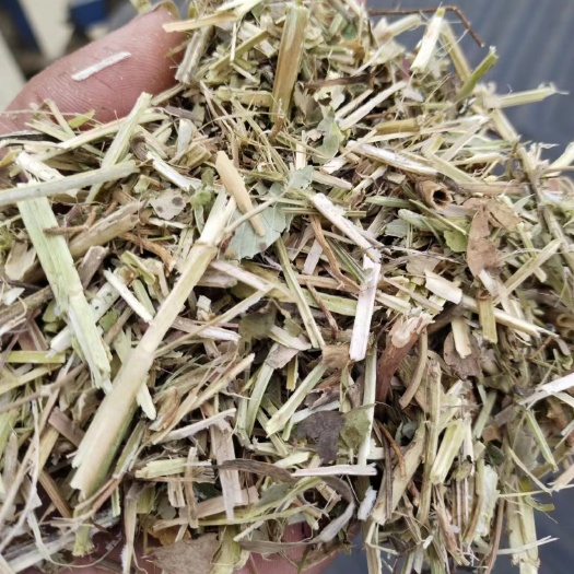 延津县新乡延津优质花生秧