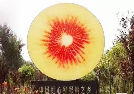苍溪县四川省苍溪县红心猕猴桃嫁接苗，品种优良。