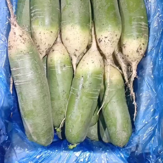 平阴县水果萝卜，超市，电商，市场