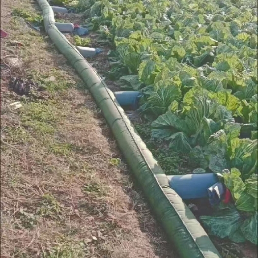 浇地布水带