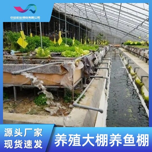 畜牧棚加工安装 农业养鹅大棚 养鸡棚 养鱼棚 养虾棚 动物养