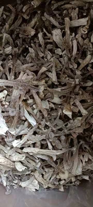 長沙鹿茸菇干貨鹿茸菇優(yōu)質干菇