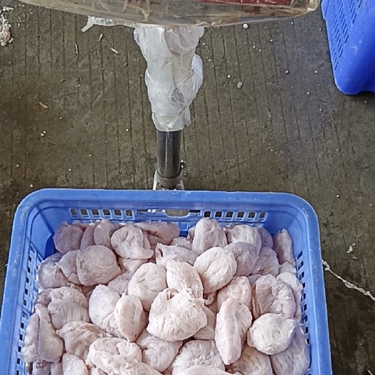 广州猪杂 猪小肚 膀胱