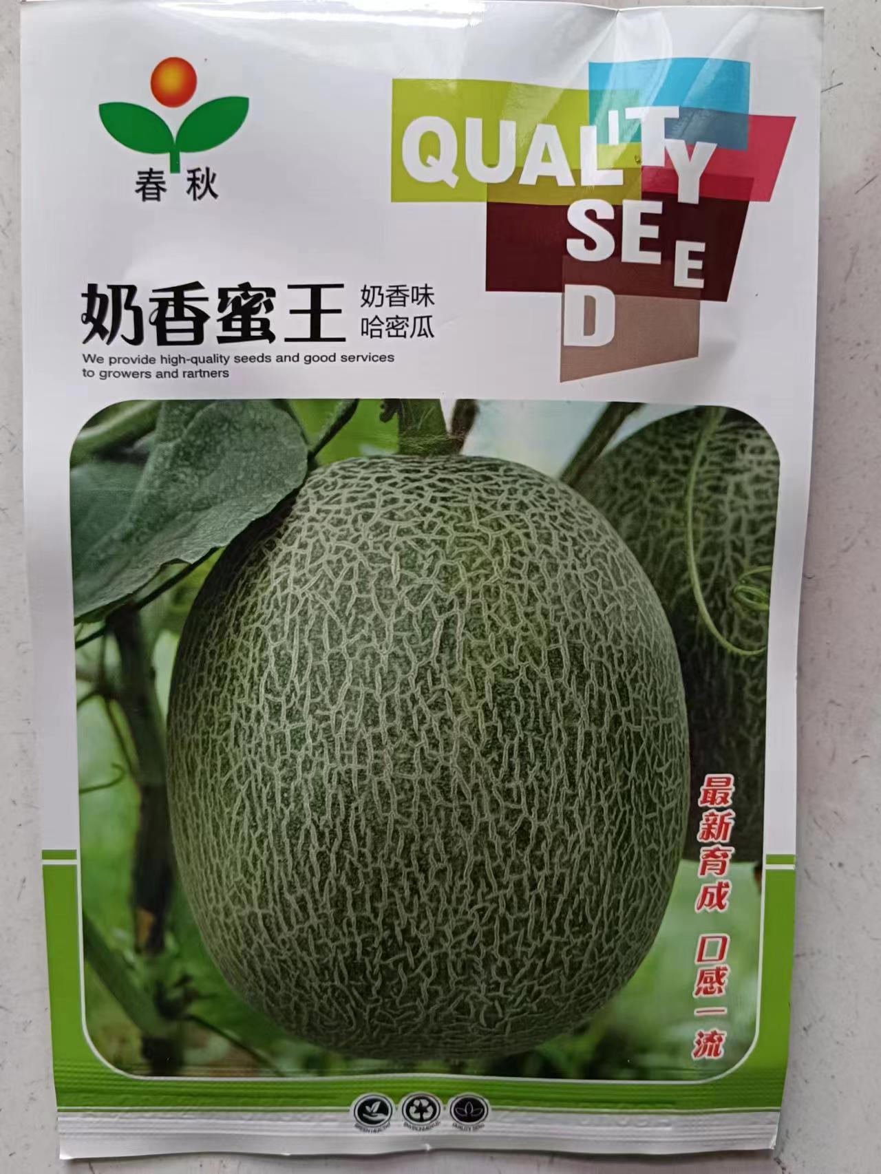 济南奶香蜜王哈密瓜种子 易种好管理的网纹瓜种子