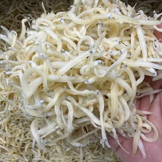 汕头银鱼干 干度好 新鲜 补钙好不是那种小小的不碎漂亮货质量好