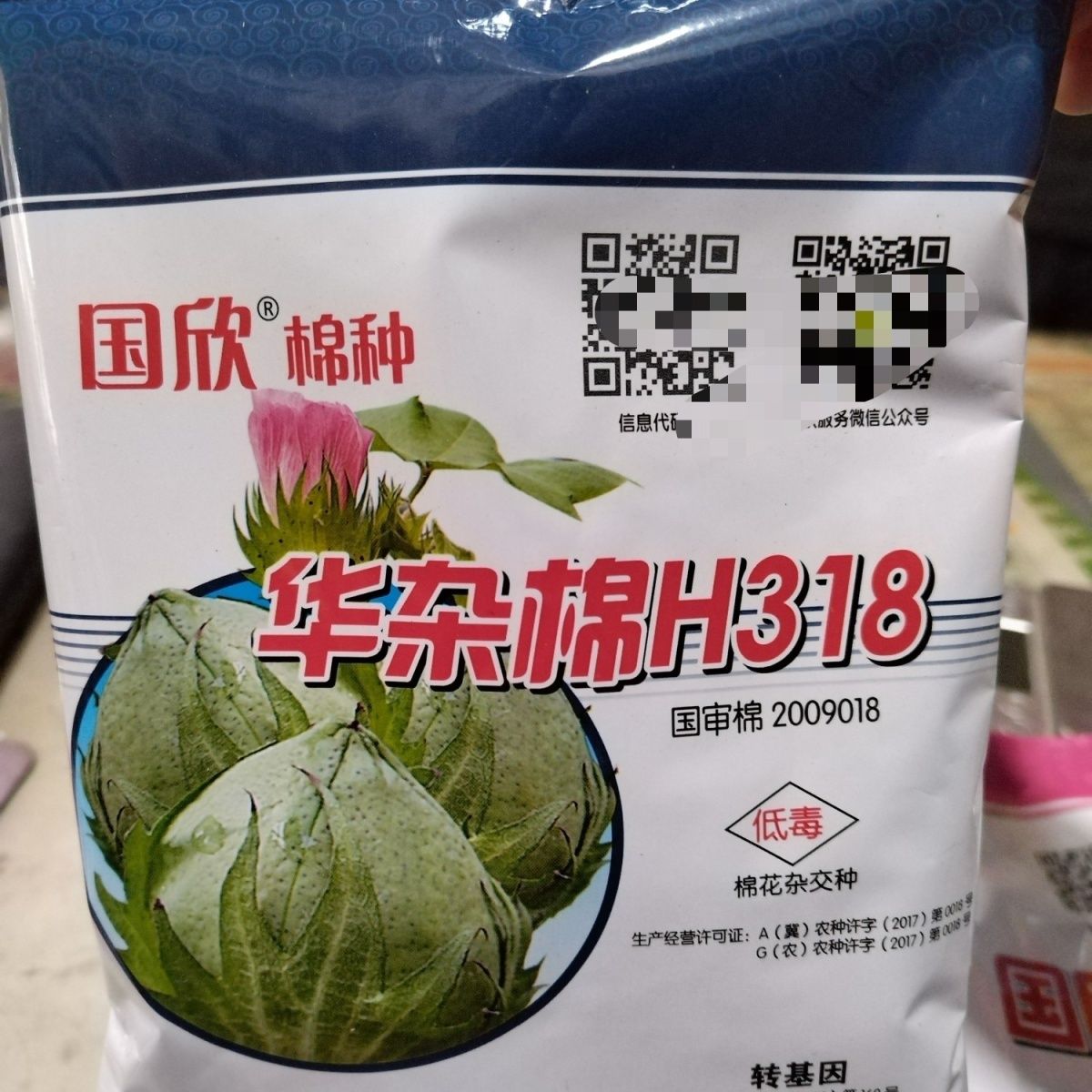 华容县国欣棉种华杂棉H318棉花种子 中熟转基因抗虫杂交棉