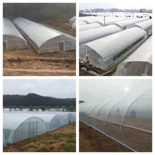 睢宁县单体蔬菜棚