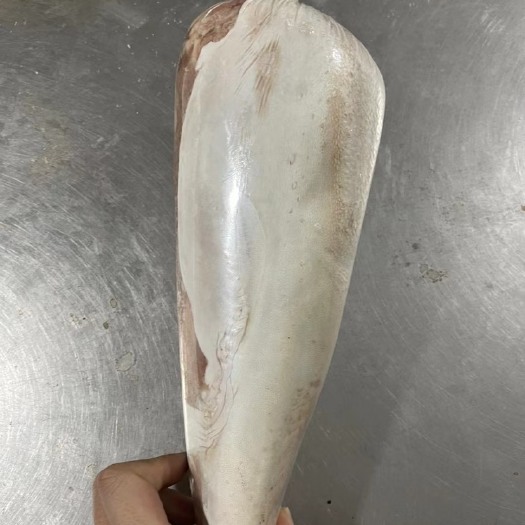 阳信县精修无舌根国产好牛舌