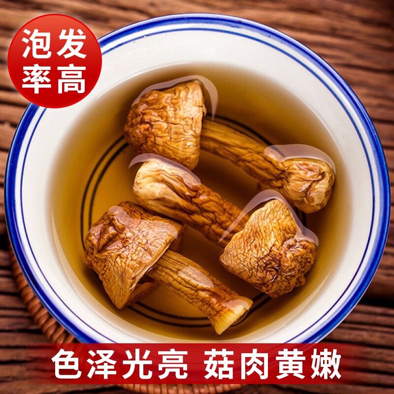 特級無硫姬松茸云南特產(chǎn)巴西菇松茸菌新貨煲湯食材食用菌菇干貨