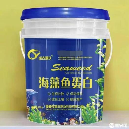 邯郸海藻鱼蛋白