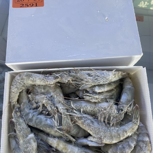 东海县厄瓜多尔盐冻大虾规格20-30规格