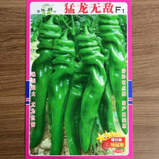 猛龙螺丝椒辣椒种子 产量高抗病 辣味较浓 肉厚质佳耐储运