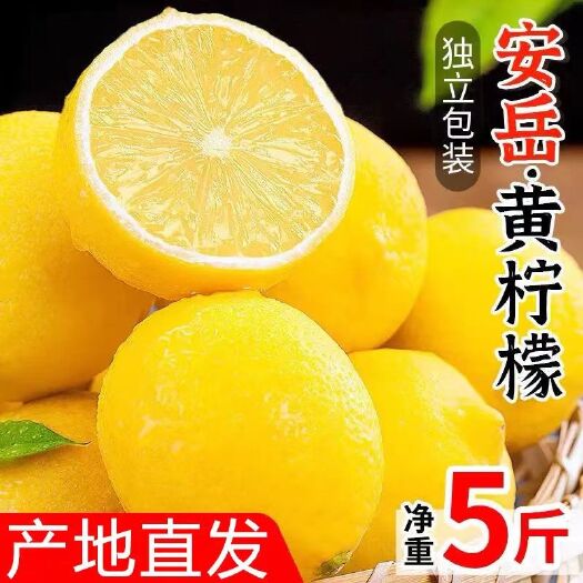 崇州市四川安岳黄柠檬新鲜水果皮薄当季整箱精选香甜青柠檬直发批发