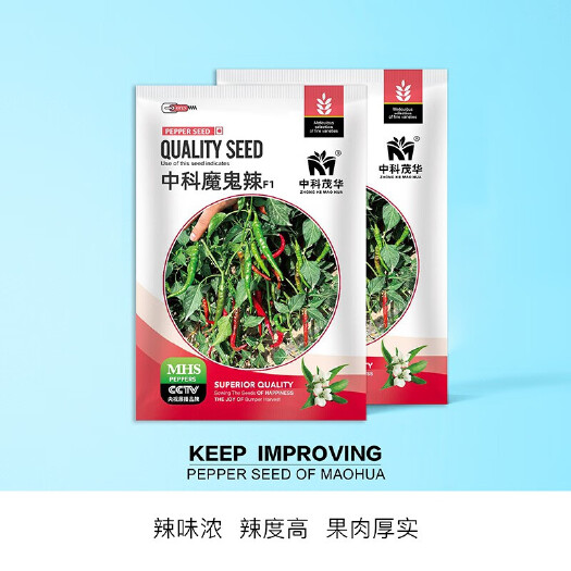 夏邑县中科魔鬼辣椒种子，辣味浓辣度高，肉厚耐储运，坐果多