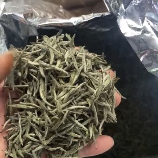 政和县白茶